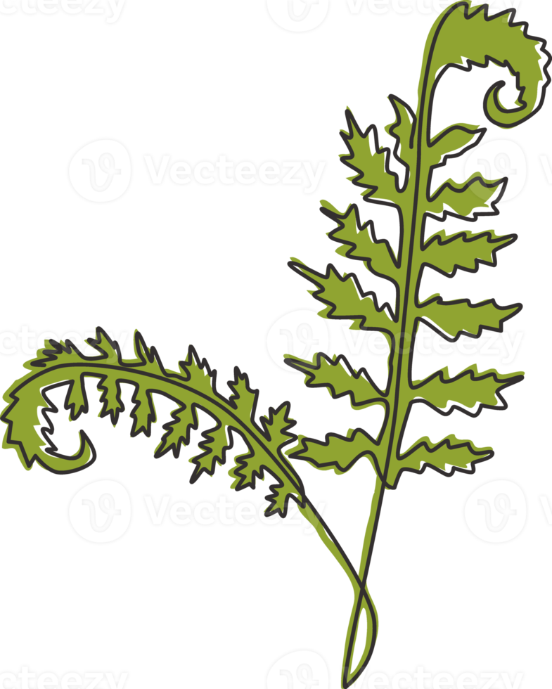 en kontinuerlig linjeteckning av söta tropiska blad ormbunksväxt. utskrivbart dekorativt exotiskt krukväxtkoncept för hemväggsdekoration. moderna en rad rita design grafisk vektorillustration png