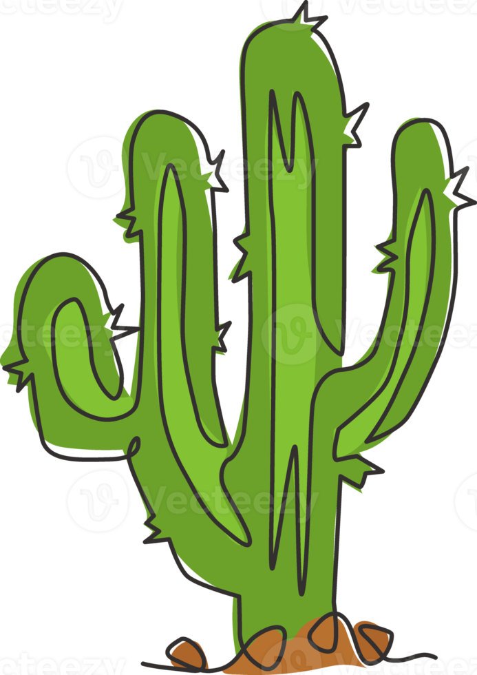 en kontinuerlig linjeteckning av tropisk taggig kaktusväxt. utskrivbara dekorativa kaktusar krukväxtkoncept för heminredningstapetprydnad. modern enkel rad grafisk rita design vektorillustration png