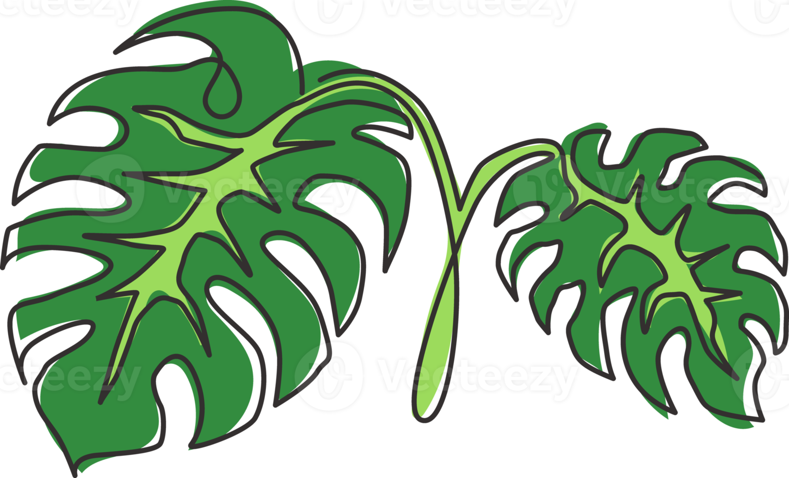 en kontinuerlig linjeteckning söta exotiska tropiska löv monstera växt. utskrivbart dekorativt krukväxtkoncept för hemväggsdekoration. moderna en rad rita design vektorgrafisk illustration png