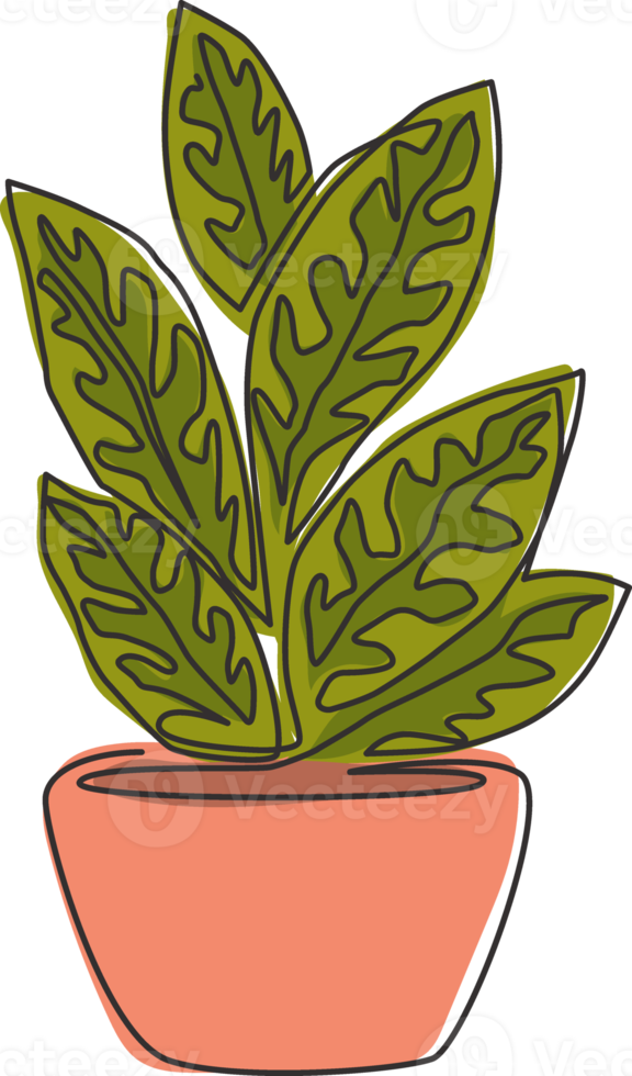 un seul dessin d'une jolie plante tropicale en pot d'aglaonema. concept de plante d'intérieur décorative imprimable pour l'ornement de décoration murale. illustration vectorielle de ligne continue moderne dessin graphique png