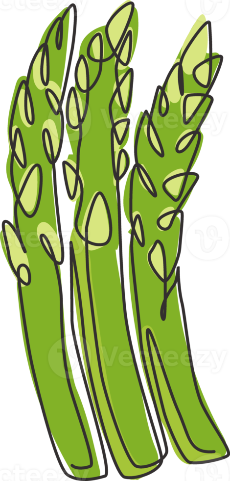 dessin au trait continu unique d'asperges biologiques entières et saines pour l'identité du logo de la plantation. concept de plante à fleurs vivaces fraîches pour l'icône végétarienne. Une ligne moderne dessiner illustration vectorielle de conception png