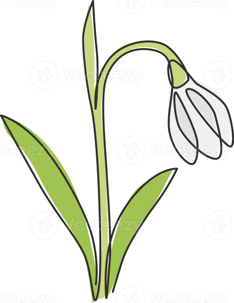 en kontinuerlig linjeteckning av skönhet färsk galanthus för hem väggdekor konst affischtryck. utskrivbart dekorativt snödroppeblommakoncept för bröllopskort. enkel rad rita design vektorillustration png