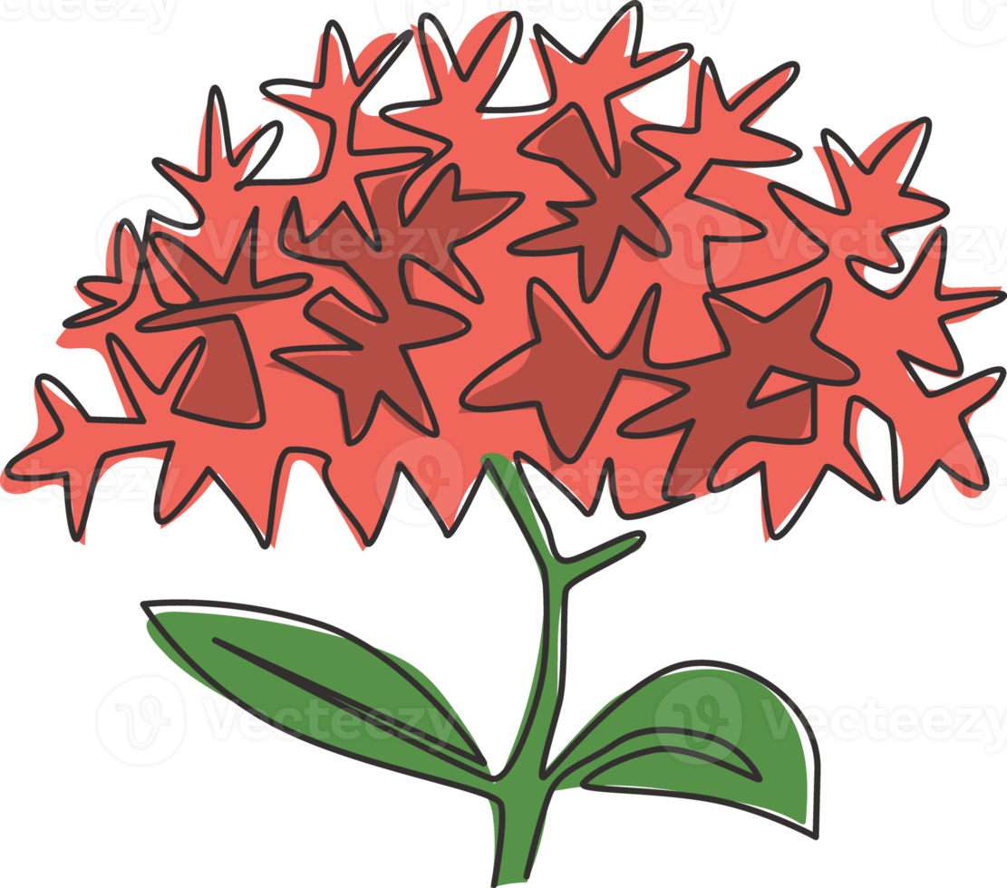 enda kontinuerlig linjeteckning skönhet färsk blomma växt för heminredning vägg affisch print konst. utskrivbar dekorativ ixora blomma för inbjudningskort. moderna en rad rita design vektorillustration png