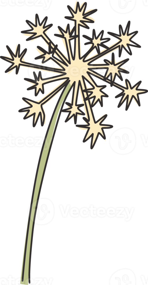 um único desenho de linha beleza taraxacum fresco para impressão de pôster de decoração de parede de arte em casa. flor-de-leão decorativa imprimível para enfeite de cartão. ilustração em vetor desenho desenho em linha contínua png