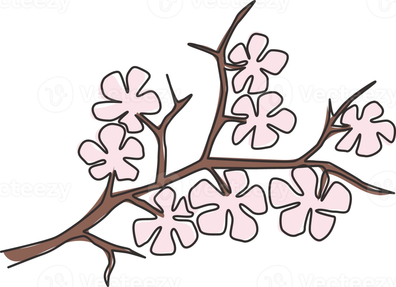 Single continuous line drawing of beauty fresh cherry blossom for home decor wall art poster print. Printable decorative sakura flower for public park. Modern one line draw design vector illustration png