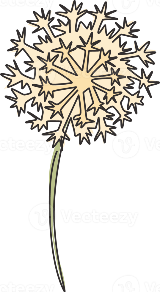 enda kontinuerlig linjeteckning skönhet färsk taraxacum för hem väggdekor konst affischtryck. utskrivbar dekorativ maskrosblomma för inbjudningskort. moderna en rad rita design vektorillustration png