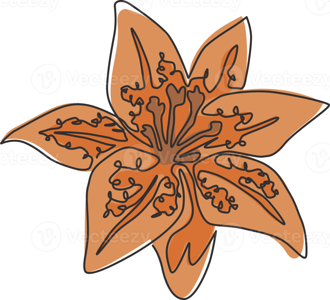 een doorlopende lijntekening van schoonheid verse lilium voor kunst aan de muur home decor poster print. afdrukbare decoratieve tijgerleliebloem voor wenskaartornament. enkele lijn tekenen ontwerp vectorillustratie png