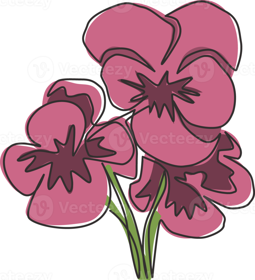 Single continuous line drawing of beauty fresh viola hybrid plant for wall art home decor poster. Printable decorative pansy flower for greeting card ornament. One line draw design vector illustration png
