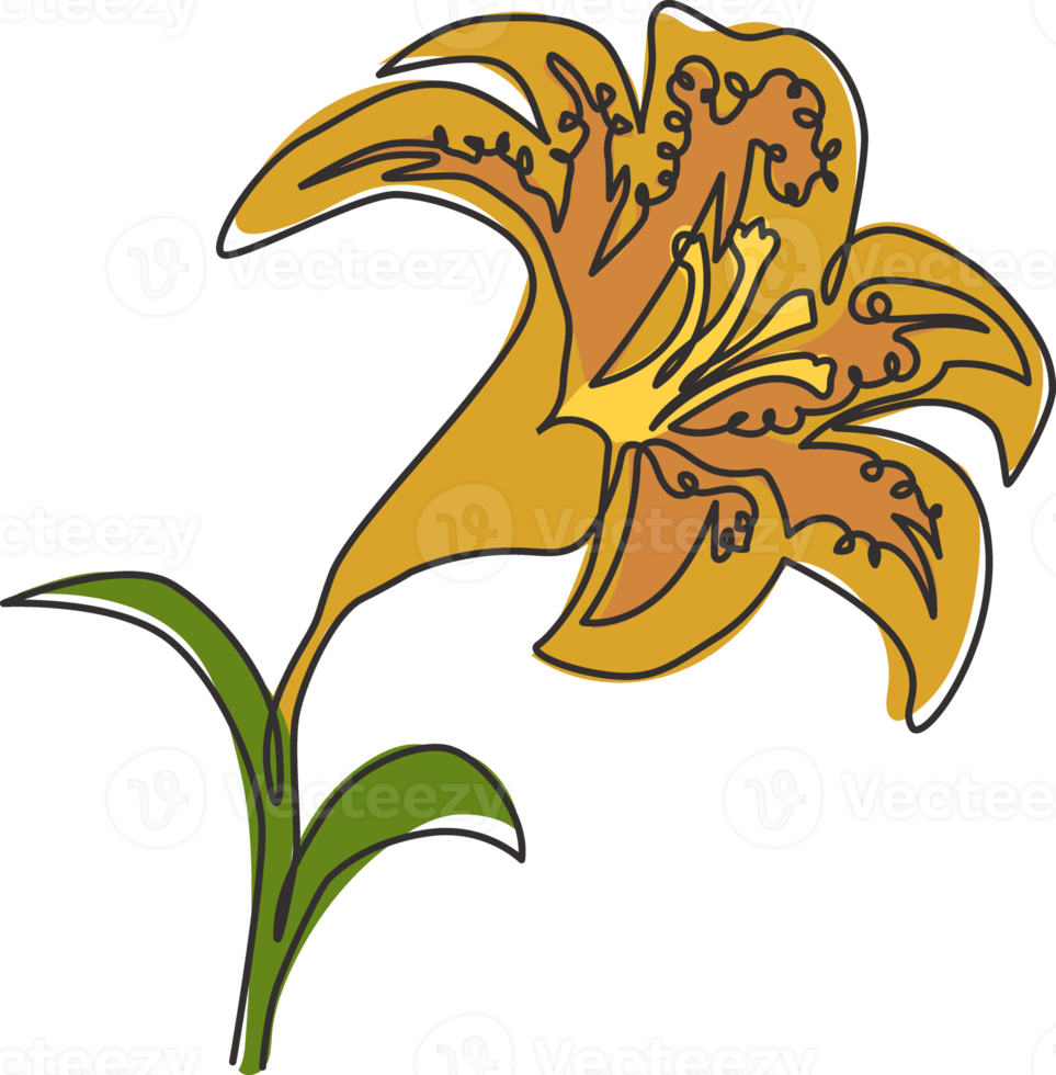 Single continuous line drawing of beauty fresh tiger lily for home decor wall art poster print. Printable decorative lilium flower for wedding invitation card. One line draw design vector illustration png