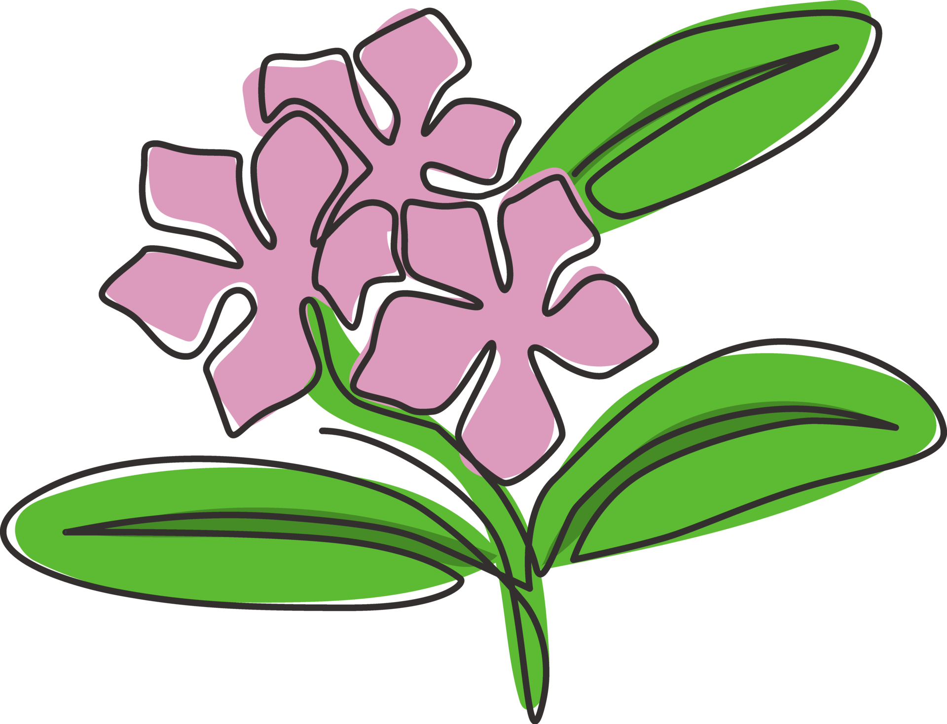 Single Continuous Line Drawing Of Beauty Fresh Vinca For Home Wall Art single-continuous-line-drawing-of-beauty-fresh-vinca-for-home-wall-art