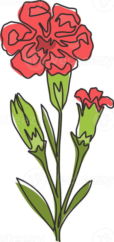 One continuous line drawing of beauty fresh carnation for garden logo. Printable decorative dianthus flower concept for home decor wall art poster. Trendy single line draw design vector illustration png