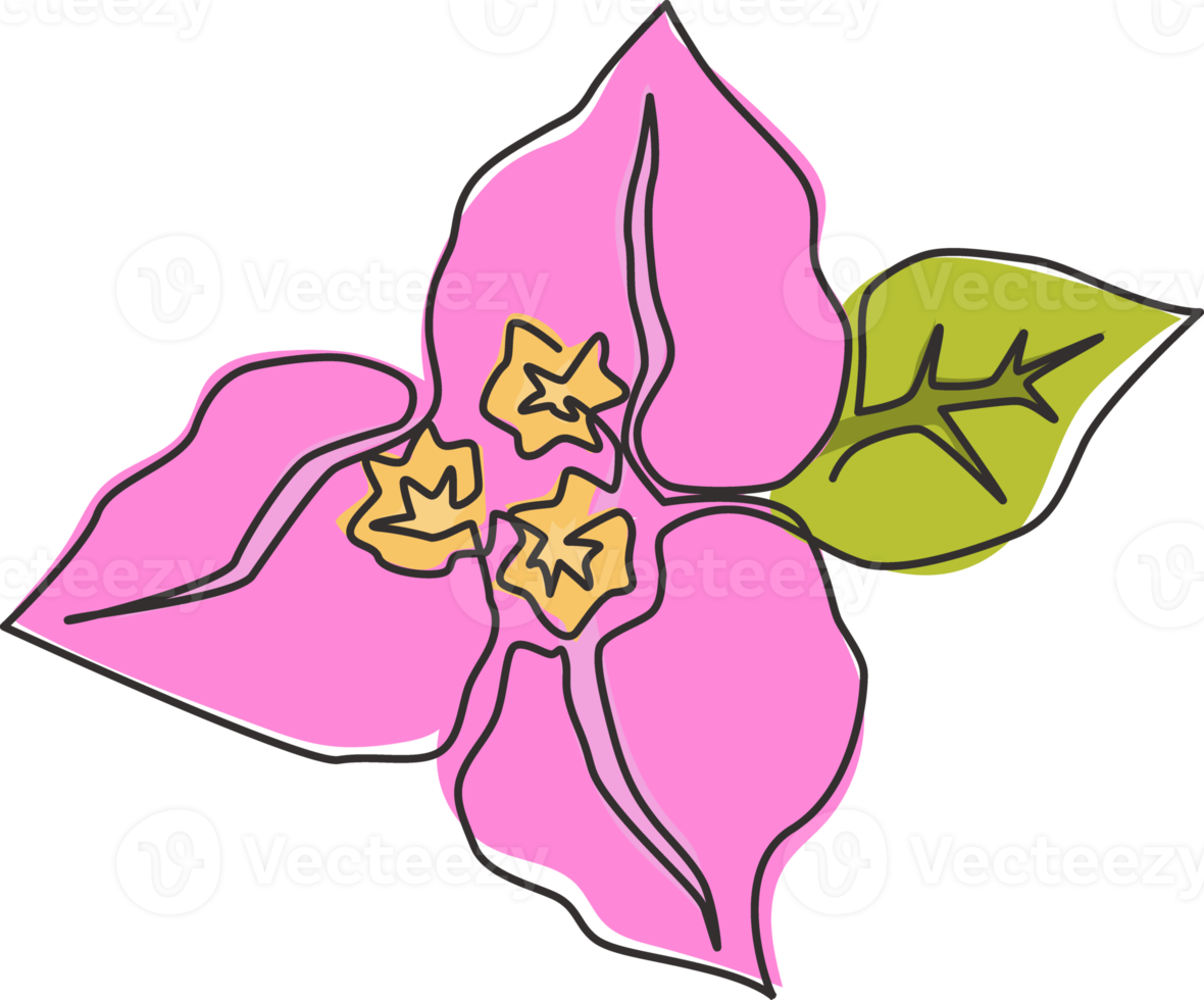 um desenho de linha contínuo de beleza fresca bougainville para o logotipo do jardim. conceito de flor de árvore espinhosa decorativa para impressão para decoração de parede de casa imprimir. ilustração em vetor moderno desenho de linha única png