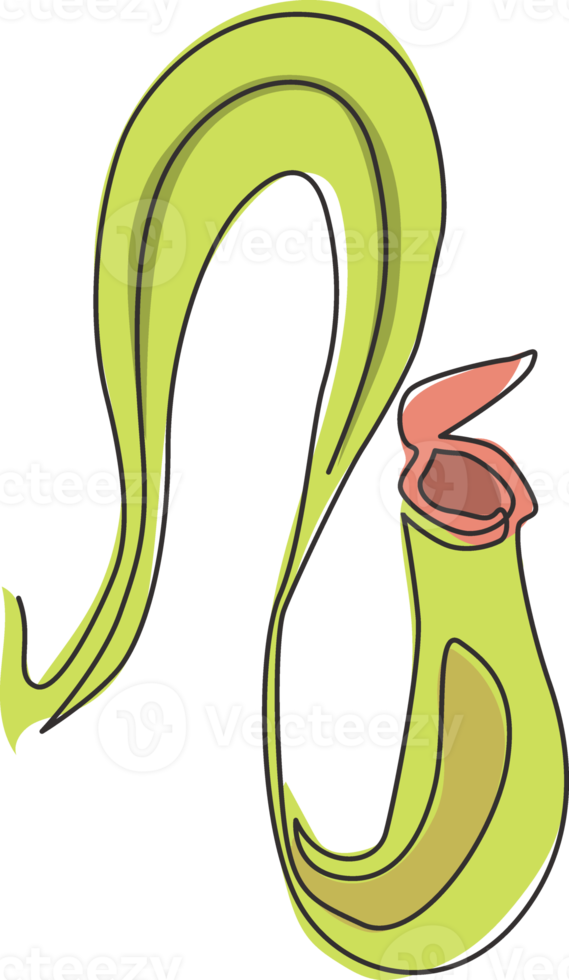 Nepenthes frais de beauté de dessin d'une seule ligne pour le logo de jardin. décoratif du concept de pichet tropical pour l'impression d'affiches d'art de décoration murale à la maison. ligne continue moderne dessiner illustration vectorielle de conception png