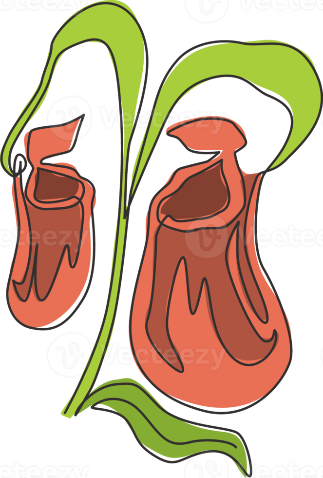 Single continuous line drawing of beauty fresh nepenthes for home wall decor art poster print. Decorative tropical pitcher plant for floral card frame. Modern one line draw design vector illustration png