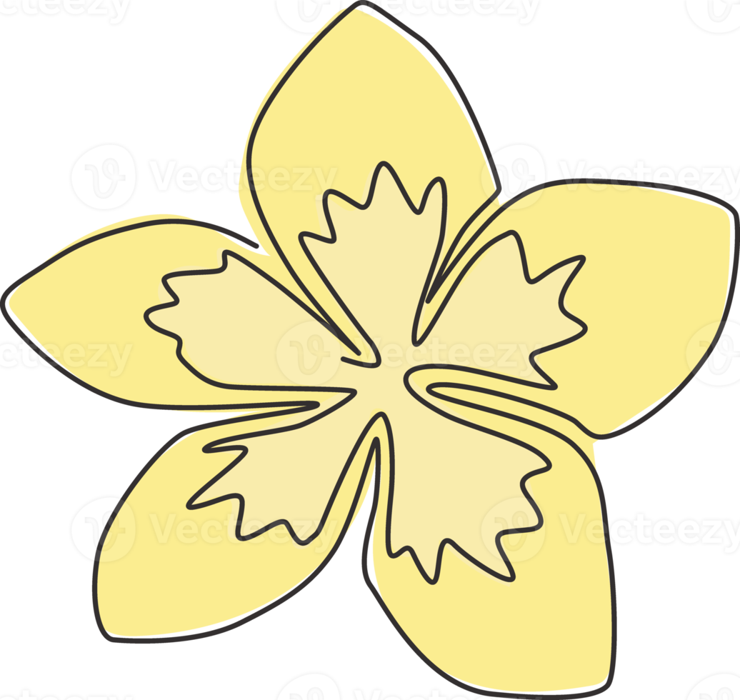 Single continuous line drawing of beauty fresh plumeria for garden logo. Printable decorative art frangipani flower concept for fashion fabric textile. Trendy one line draw design vector illustration png