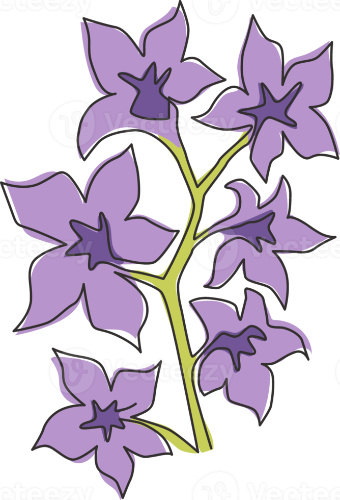 Single continuous line drawing beauty fresh larkspur for home decor wall art print poster. Decorative consolida perennial flower for invitation card. Modern one line draw design vector illustration png