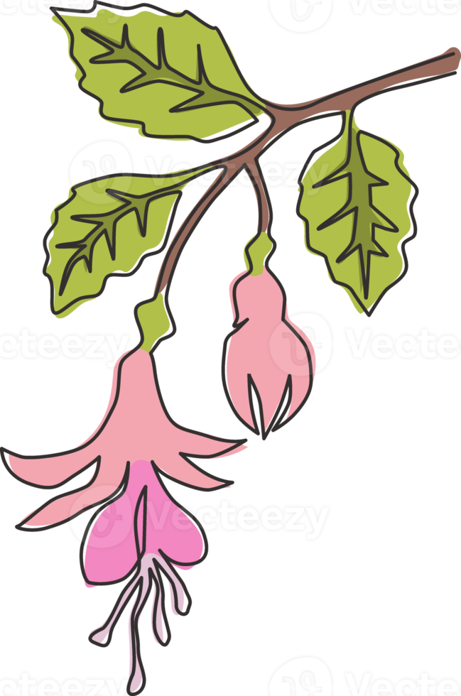 einzelne durchgehende Strichzeichnung der Schönheit frischer fuchsiafarbener Blume für Wohnkultur-Wandkunst-Plakatdruck. dekorative sträucher pflanze für florale einladungskarte. moderne eine linie zeichnen design-vektorillustration png