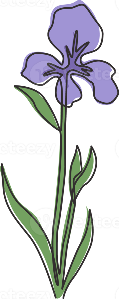 One continuous line drawing beauty fresh perennial plants for wall decor home art poster print. Decorative iris flower concept for invitation card. Modern single line draw design vector illustration png