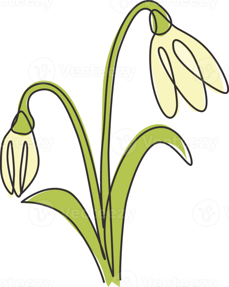 único dibujo de línea continua belleza galanthus fresco del logotipo del jardín. Concepto decorativo imprimible de la flor de la campanilla de las nieves para la impresión del cartel del arte de la pared de la decoración casera. Ilustración de vector de diseño de dibujo de una línea moderna png