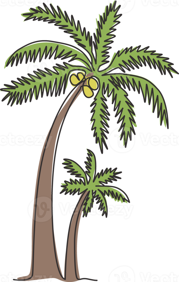 enda en rad ritning av kokospalmer. dekorativa cocos nucifera, strand palmträd familj koncept för att hälsa hej sommar vykort. modern kontinuerlig linje rita design vektorgrafisk illustration png