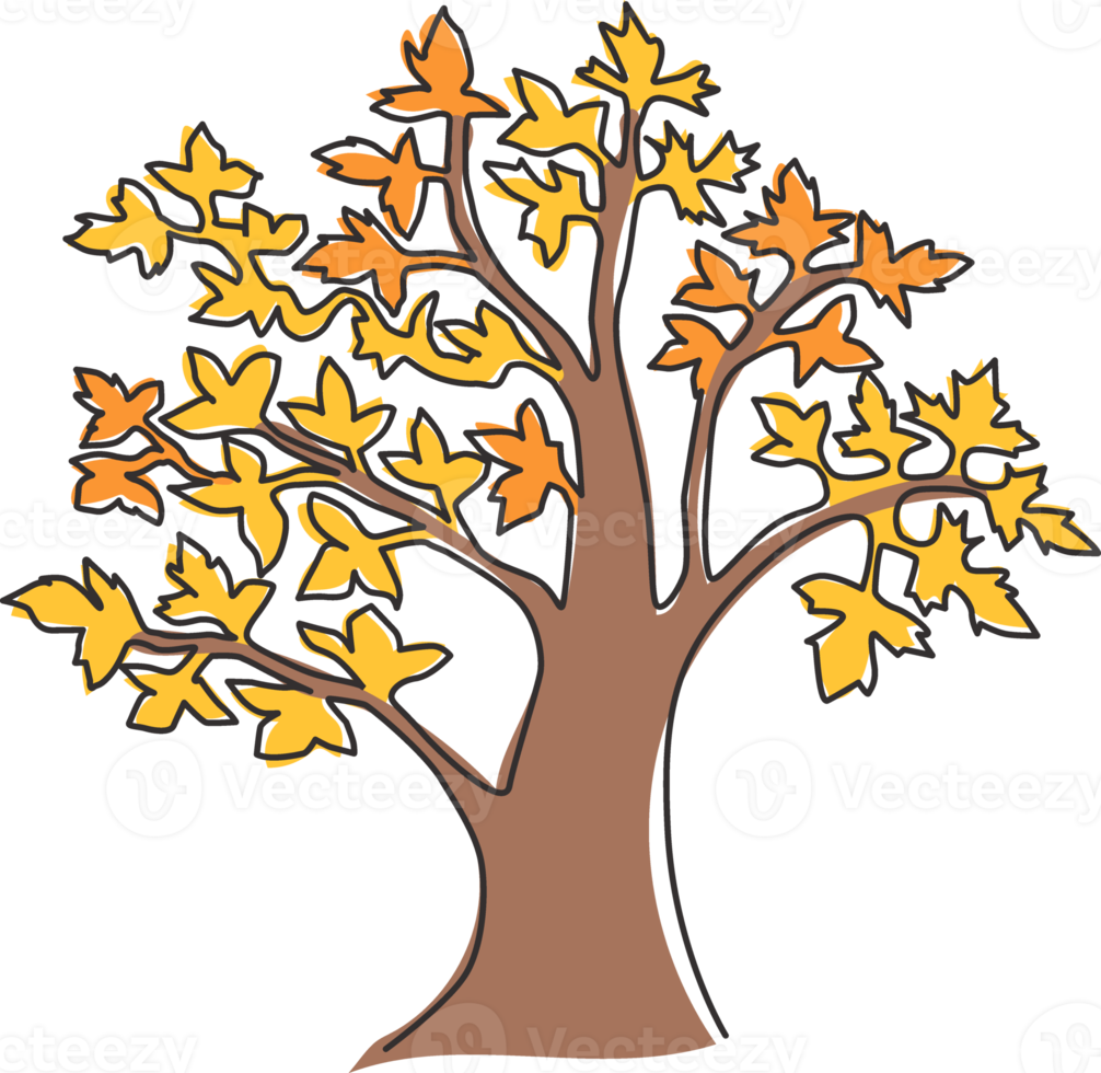 een doorlopende lijntekening van grote schoonheid en exotische esdoorn. decoratief acer pseudoplatanus plantconcept voor nationaal parklogo. trendy enkele lijn tekenen ontwerp vector grafische afbeelding png