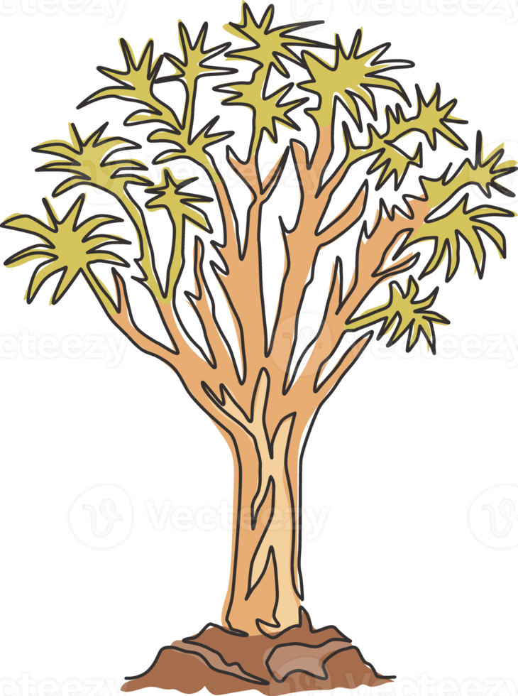 um desenho de linha contínua da floresta de árvores quiver. kokerboom decorativo woud árvore para logotipo do parque nacional. turismo e viagens conceito de férias. ilustração do gráfico vetorial moderna de desenho de linha única png