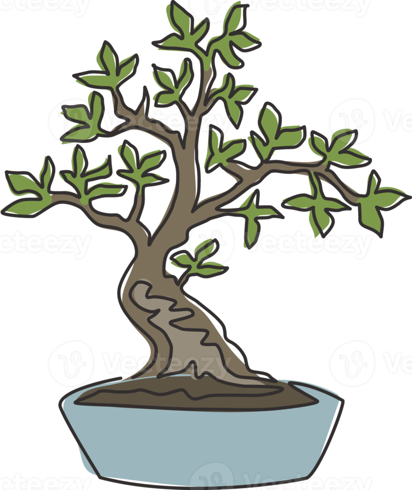 una linea continua che disegna bellezza e un albero bonsai esotico per la stampa di poster artistici per la decorazione della parete di casa. antica pianta bonsai in vaso decorativa per il logo del negozio di piante. illustrazione vettoriale di disegno a linea singola png