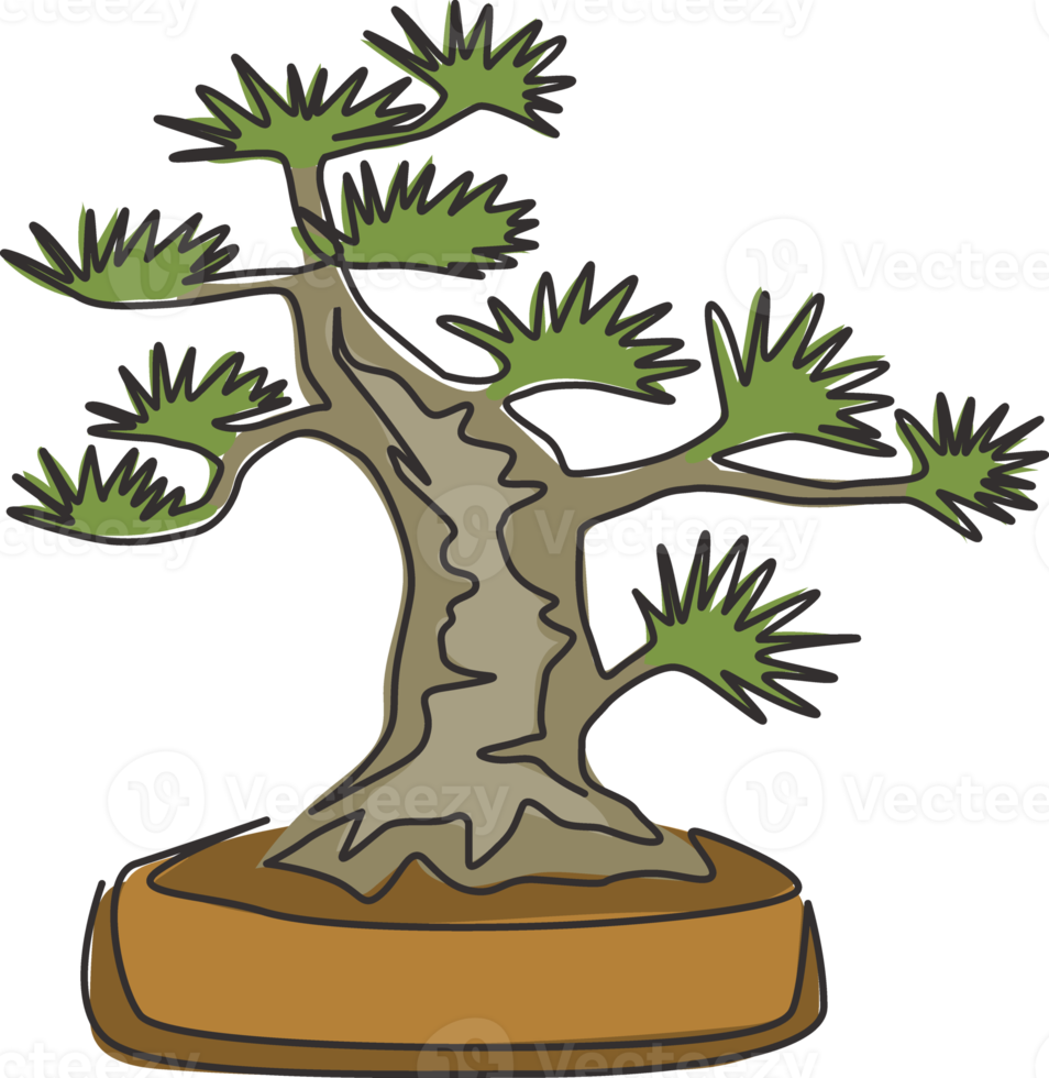 disegno a una linea di bellezza e mini albero bonsai esotico per la stampa artistica di poster da parete. vecchia pianta curva in vaso decorativo per negozio di piante. illustrazione vettoriale di disegno di disegno di linea continua moderna png