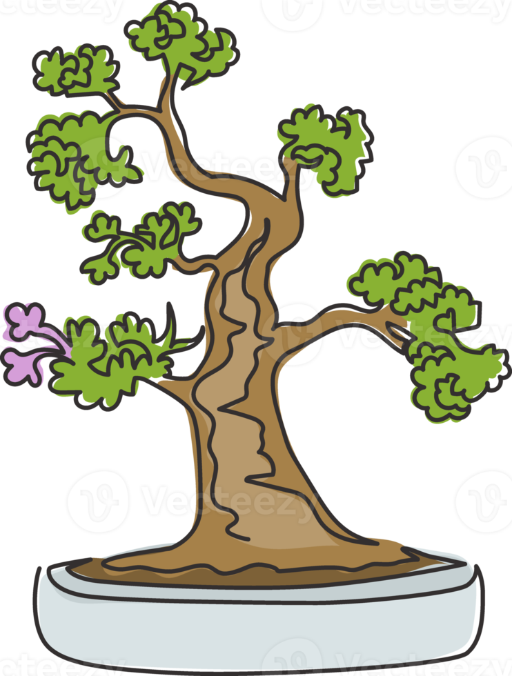 disegno a linea continua di antica bellezza e affascinante piccolo albero bonsai esotico. pianta decorativa curva in vaso per l'edizione della pianta della cartolina d'auguri. illustrazione vettoriale di design moderno a una linea di disegno png