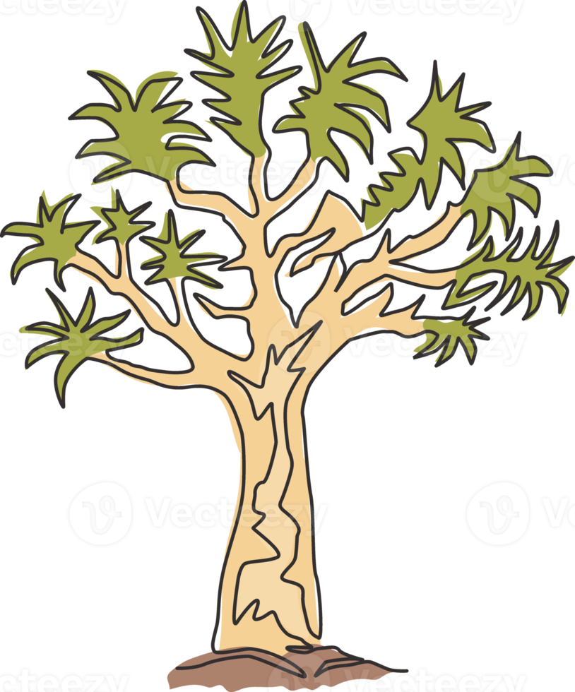 enkele doorlopende lijntekening van kokerboombos. decoratieve aloidendron dichotomum boom voor nationaal park. toeristische en reizen vakantie concept. moderne één lijn tekenen ontwerp vectorillustratie png