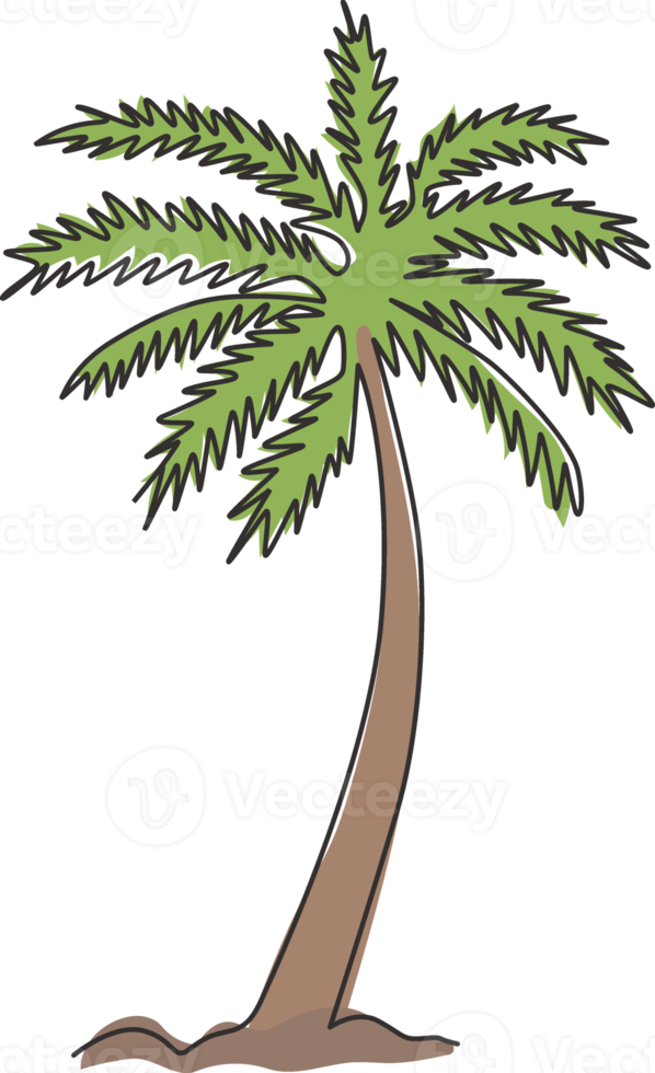 en kontinuerlig linjeteckning av cocos nucifera. dekorativt kokospalmkoncept för plantageföretagets logotyp och hemkonstväggdekoraffischtryck. trendiga en rad rita design vektorillustration png