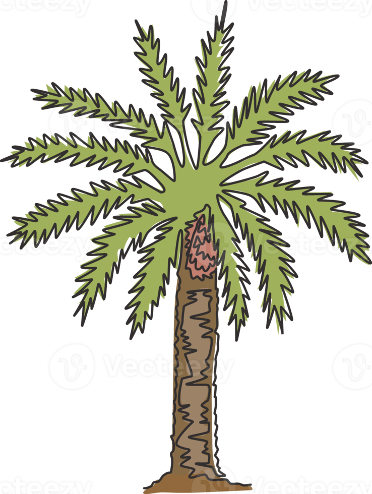 enkele doorlopende lijntekening van schoonheid en grote feniks dactylifera-boom. decoratief dadelpalm plantconcept voor home decor wall art poster print. moderne één lijn tekenen ontwerp vectorillustratie png