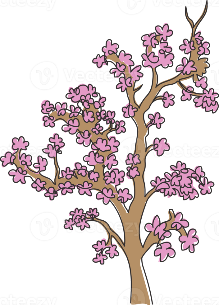 enda kontinuerlig linjeteckning skönhet japan sakura träd. dekorativ körsbärsblomväxt för heminredning väggaffisch konsttryck. resor och turer. moderna en rad rita design grafisk vektorillustration png