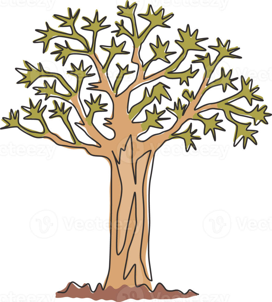 enkele lijntekening van kokerboombos. decoratieve kokerboom woud voor wenskaart. toeristische en reizen muur decor poster print kunst. moderne doorlopende lijn tekenen ontwerp vectorillustratie png