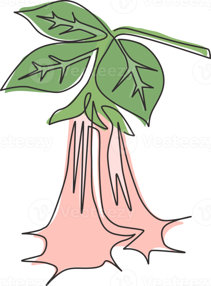 en kontinuerlig linjeteckning av skönhet färsk brugmansia för heminredning väggkonst affischtryck. dekorativ ängel trumpet blomma koncept för gratulationskort. enkel rad rita design vektorillustration png