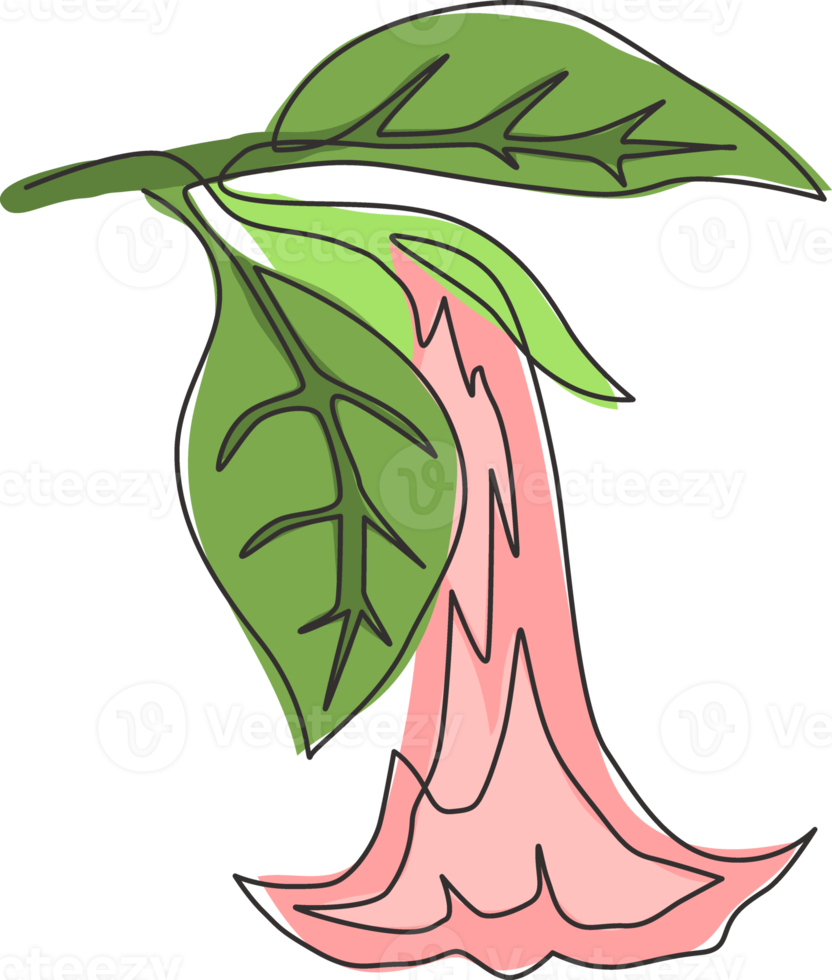 Single continuous line drawing of beauty fresh brugmansia for wall decor home art poster print. Decorative angel trumpet flower for greeting card frame. Modern one line draw design vector illustration png
