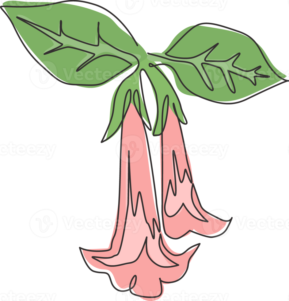 dibujo de una sola línea de belleza brugmansia fresca para el logotipo del jardín. concepto decorativo de la flor de la trompeta del ángel para la impresión del cartel del arte de la pared de la decoración casera. Ilustración de vector de diseño de dibujo de línea continua moderna png