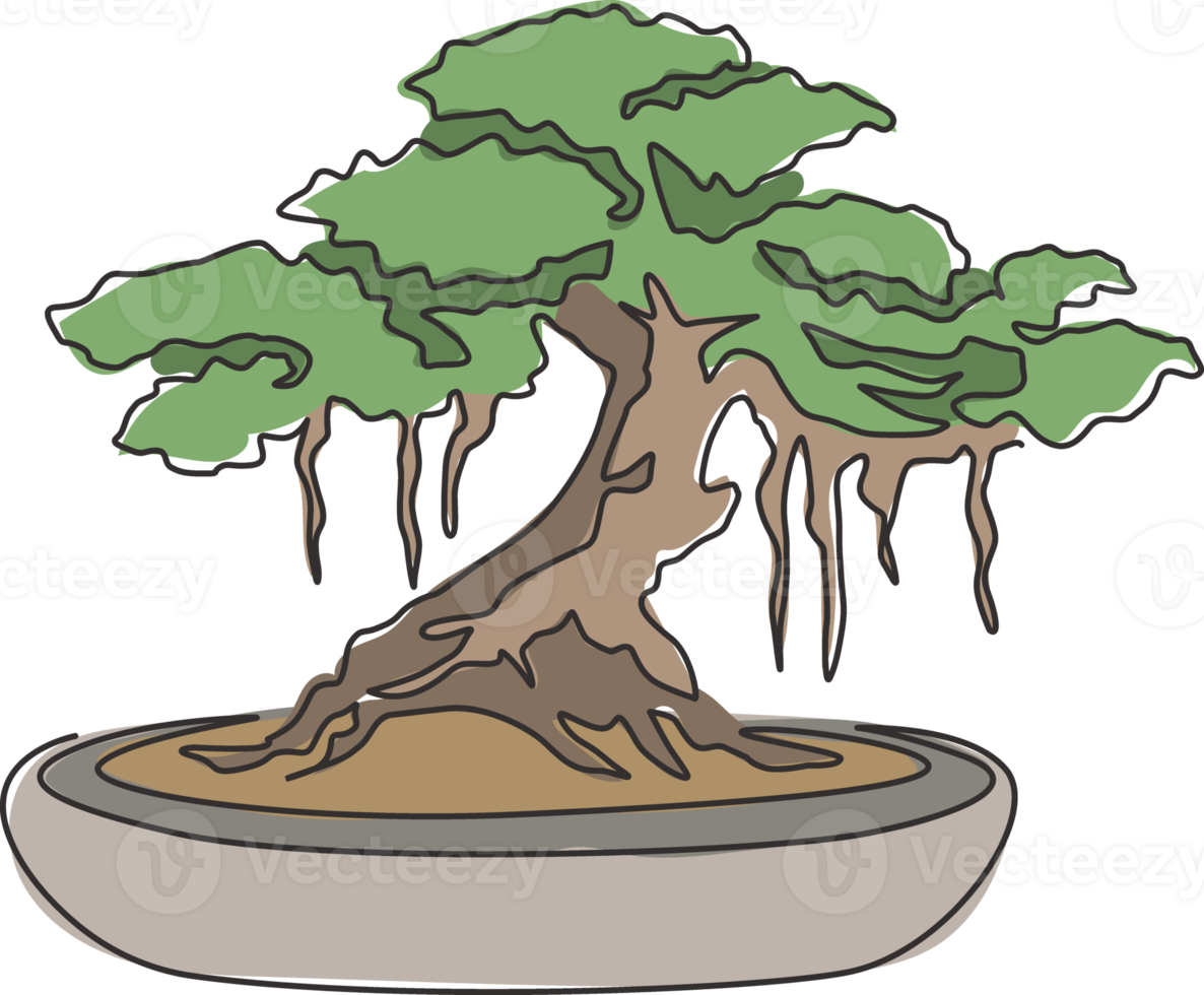 disegno a linea continua di un bellissimo ed esotico albero bonsai giapponese. decorativo vecchio piccolo albero di banyan concetto per la stampa di poster di arte della parete della decorazione della casa. illustrazione vettoriale di design moderno a una linea di disegno png