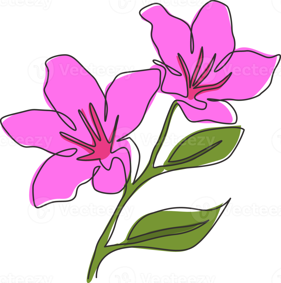 Single one line drawing of beauty fresh azalea for garden logo. Decorative rhododendron flower concept for home wall decor art poster print. Modern continuous line draw design vector illustration png