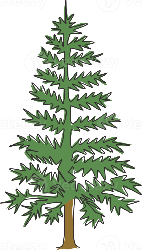 enda kontinuerlig linjeteckning av skönhet och exotisk tall. dekorativ pinus för gratulationskort. skönhet plats semester semester koncept. moderna en rad rita design grafisk vektorillustration png