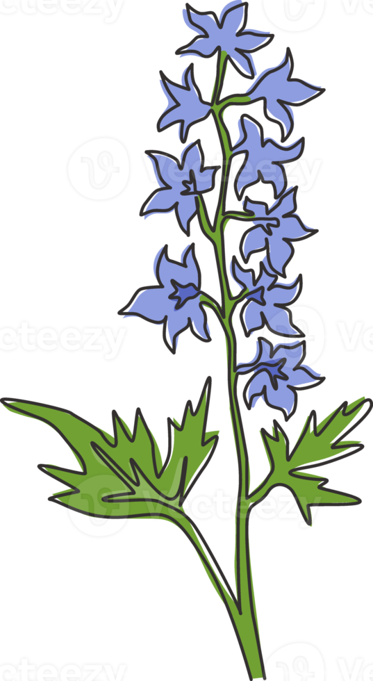 Dibujo de una sola línea Beauty Fresh Larkspur para el logotipo del jardín. decorativo del concepto del delfinio perenne para la impresión del cartel del arte de la decoración de la pared del hogar. Ilustración de vector de diseño de dibujo de línea continua moderna png