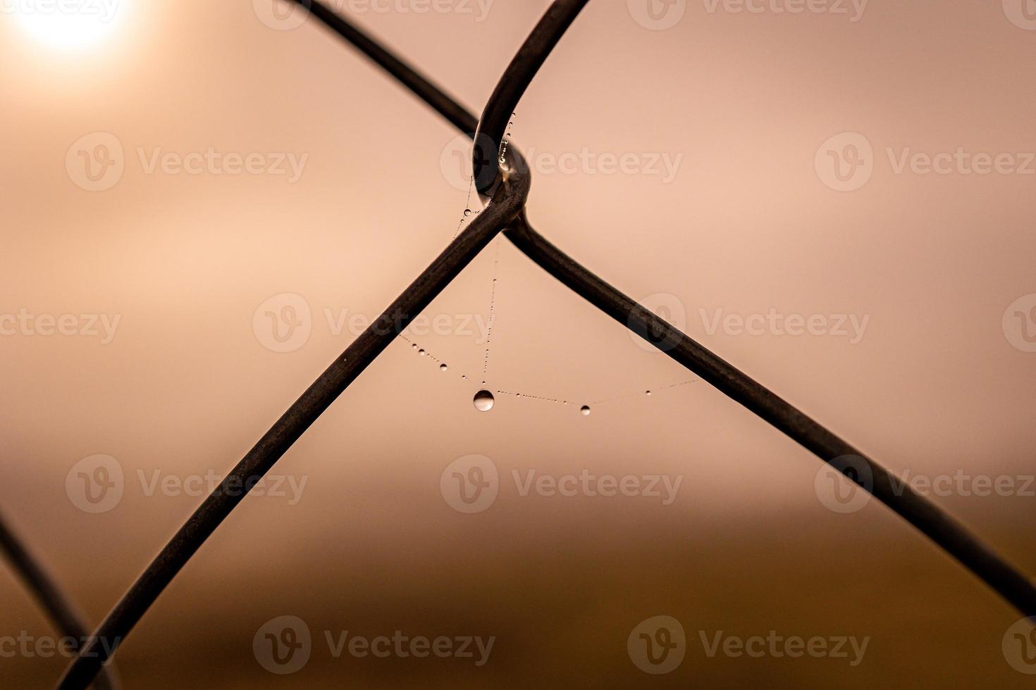 little delicate water drops on a spider web in close-up on a foggy day photo