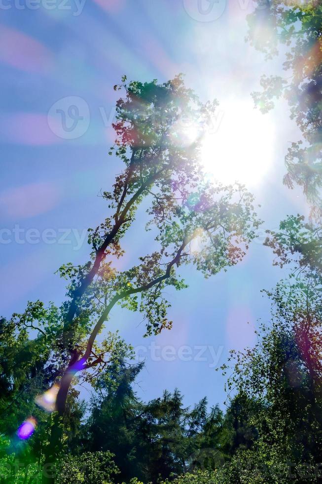 dentro el desierto foto