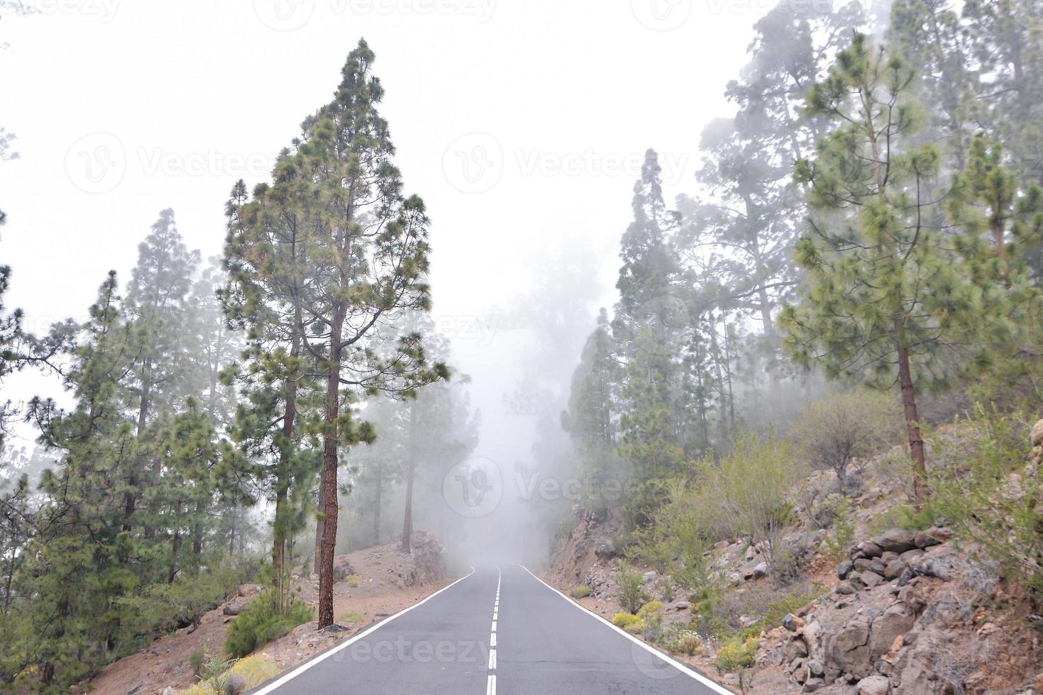 Scenic road view photo