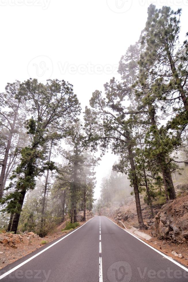 Scenic road view photo