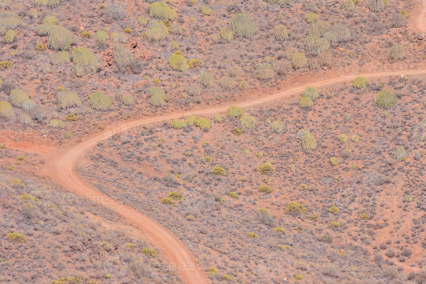 Scenic road view photo