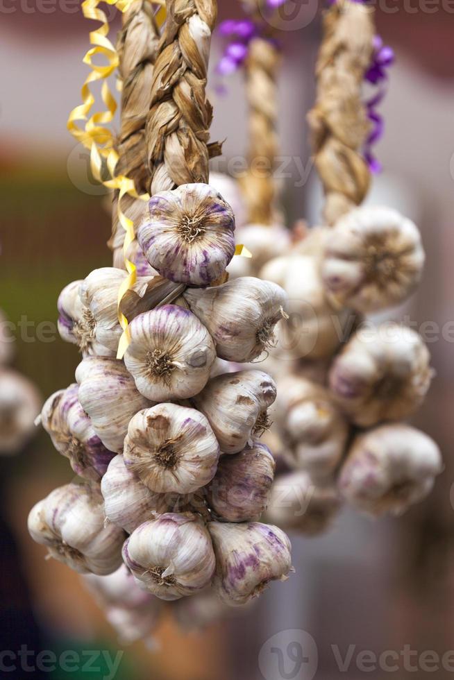 String of garlic bulbs hanging from a display photo