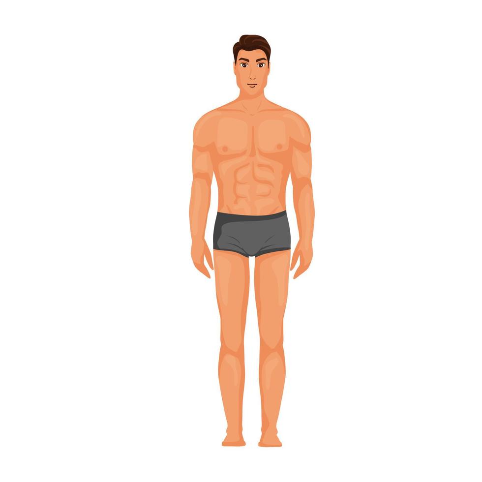 hombre cuerpo en ropa interior ilustración vector