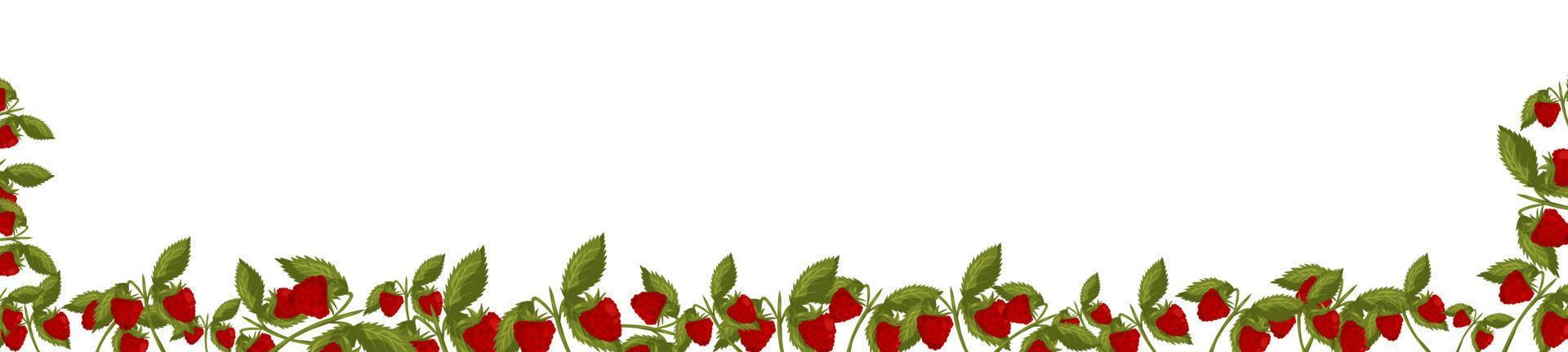 Spring horizontal frame with raspberries and leaves. Summer vector banner