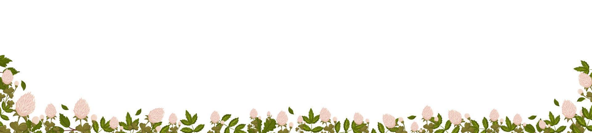 Spring horizontal border with clover flowers, shamrock and leaves. Summer vector banner